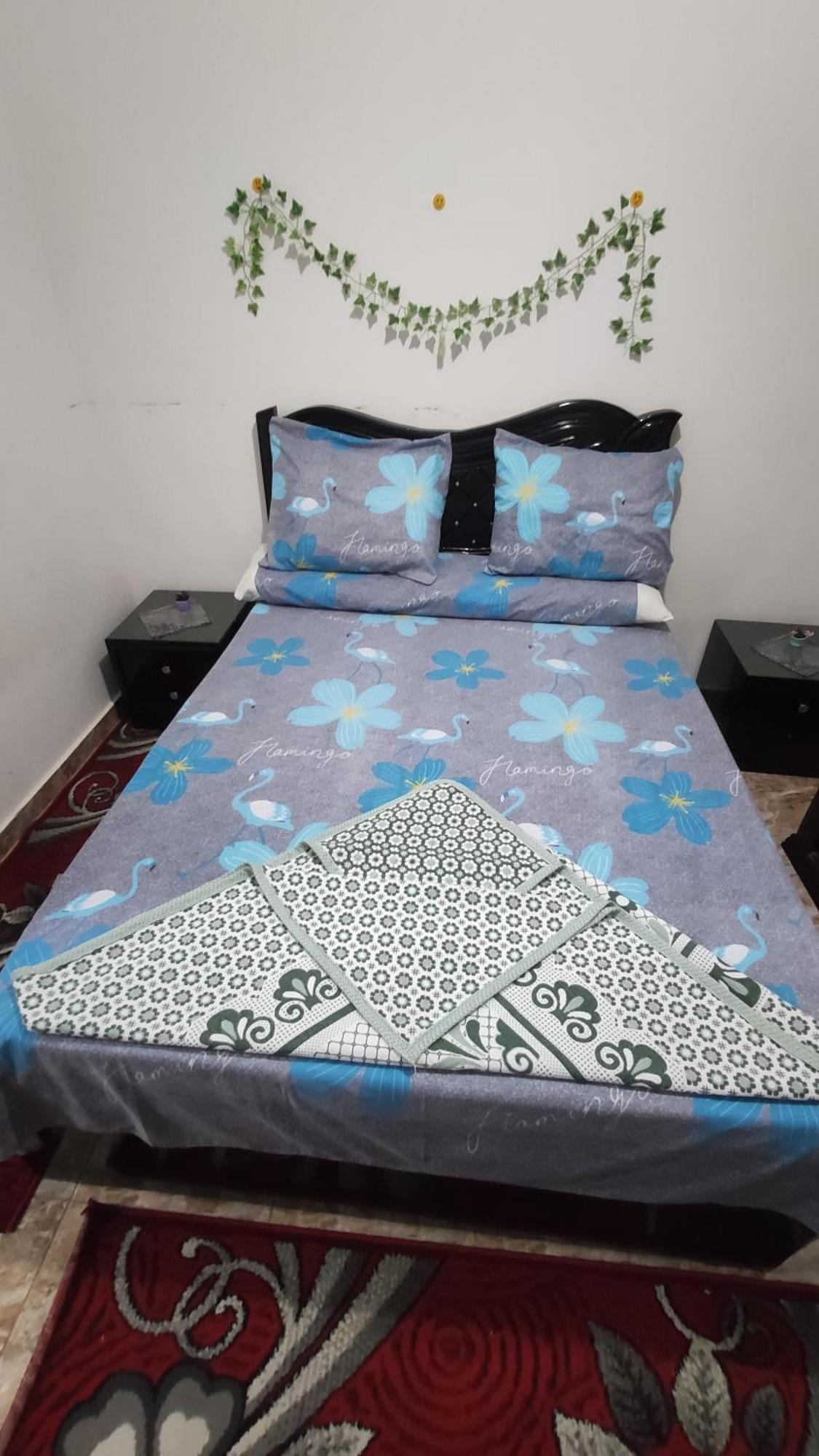The Flowers Apartment Alexandria Bagian luar foto